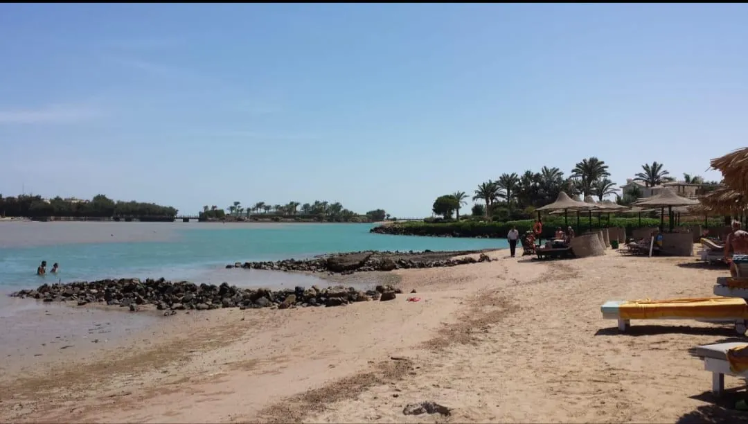 🏖️✨ Zeytouna Beach Day Trip – El Gouna 🌊☀️ Zetouna Beach Day Trip El Gouna /IMG-20260702-WA0107.jpg
